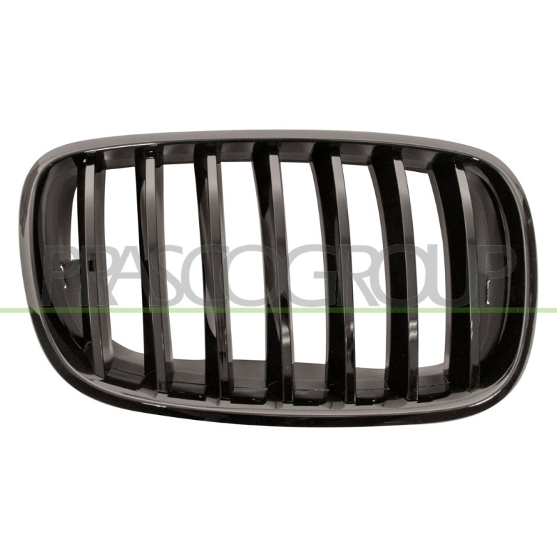 Grille de calandre noire brillant côté passager