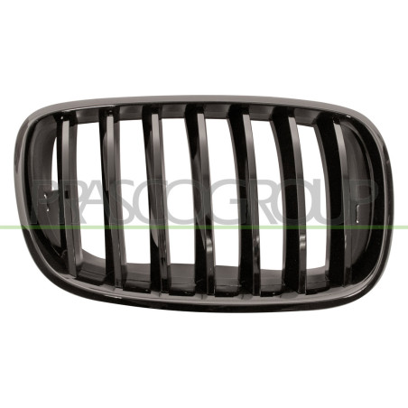 Grille de calandre noire brillant côté passager