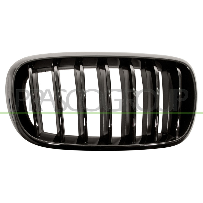 Grille de calandre noire brillant côté passager