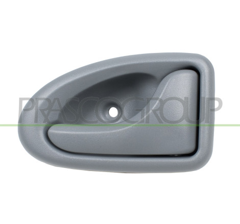 Poignée intérieure gris de porte avant et arrière côté passager