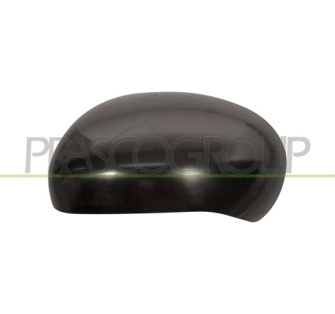 Coque de rétroviseur noir côté chauffeur