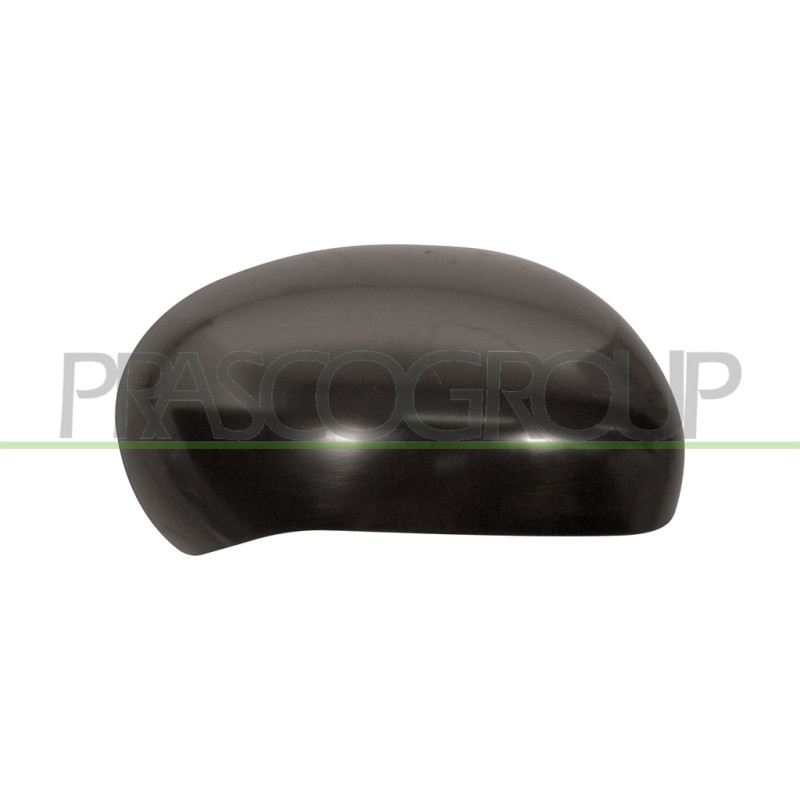 Coque de rétroviseur noir côté passager