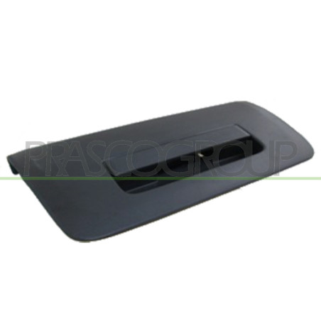 Poignée extérieure noir d'ouverture de hayon