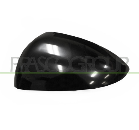 Coque de rétroviseur noir côté chauffeur