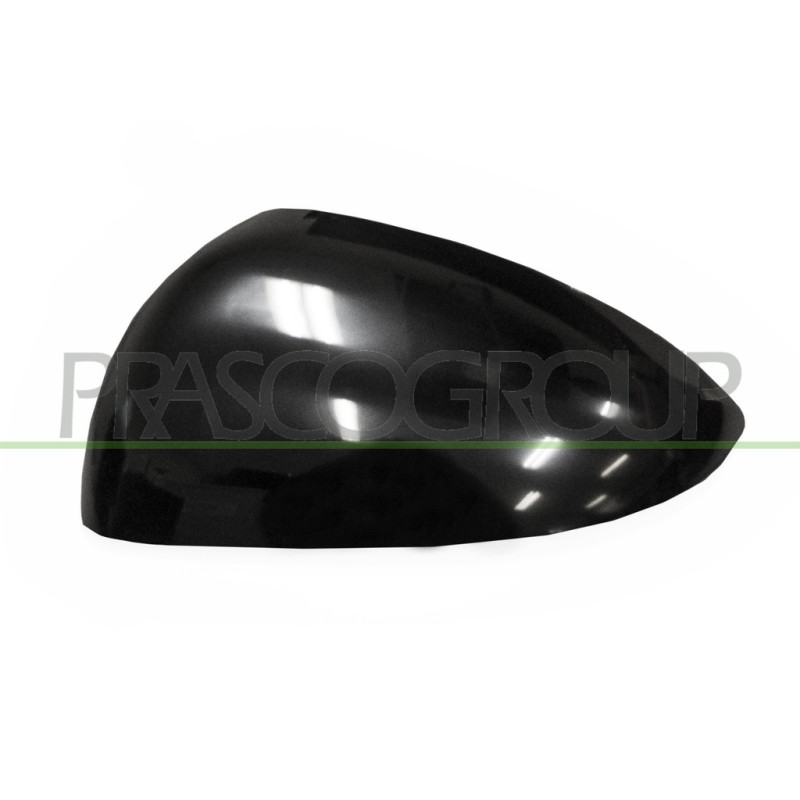 Coque de rétroviseur noir côté chauffeur