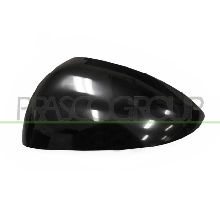 Coque de rétroviseur noir côté chauffeur