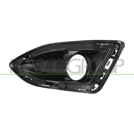 Grille de pare-chocs avant noir côté chauffeur