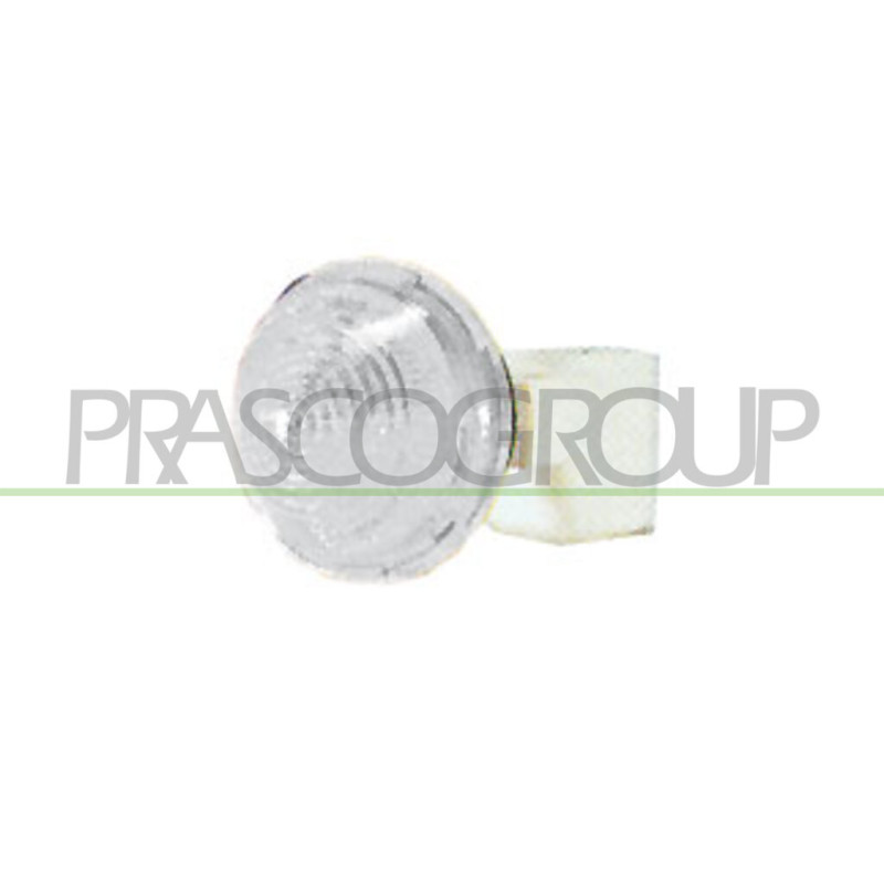 Feu d'aile avant valable côté chauffeur et côté passager