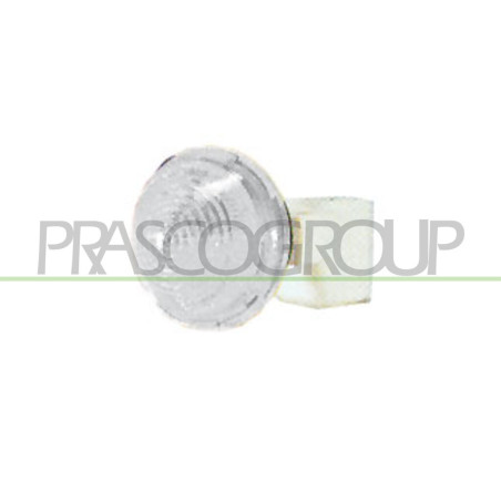 Feu d'aile avant valable côté chauffeur et côté passager