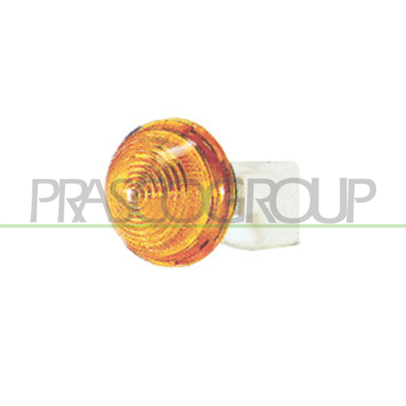 Feu d'aile avant valable côté chauffeur et côté passager