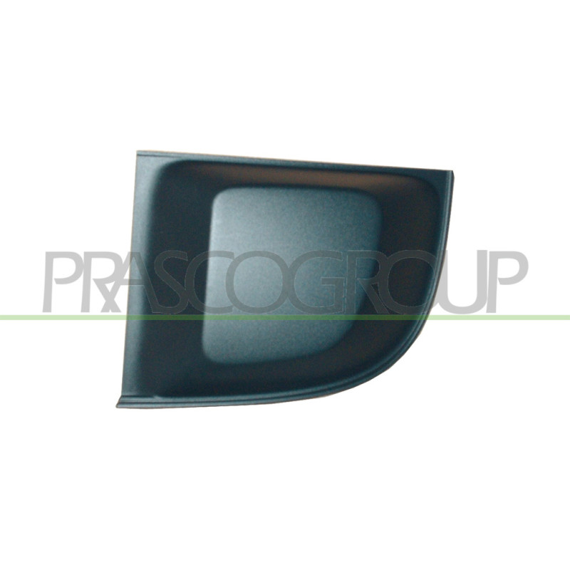 Grille noire de pare-chocs avant côté chauffeur