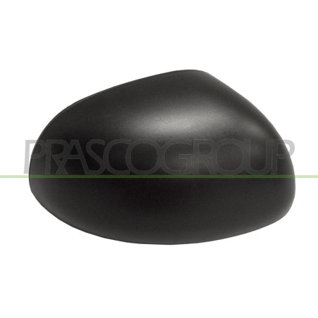 Coque de rétroviseur noir côté passager