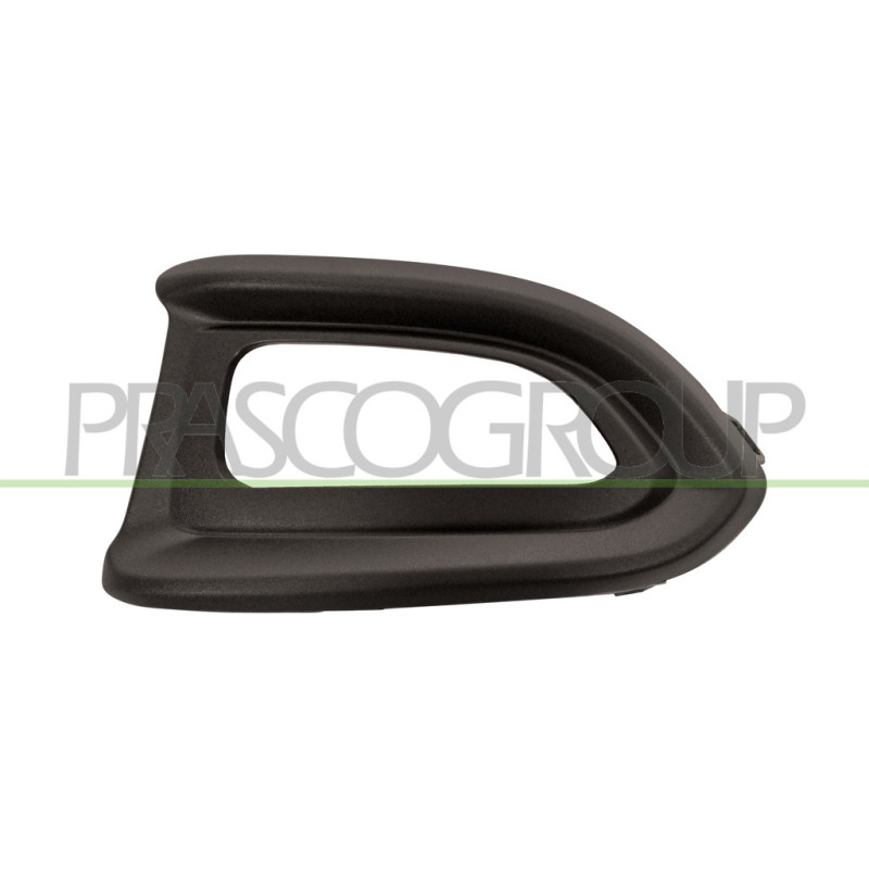 Grille de pare-chocs avant noir côté chauffeur