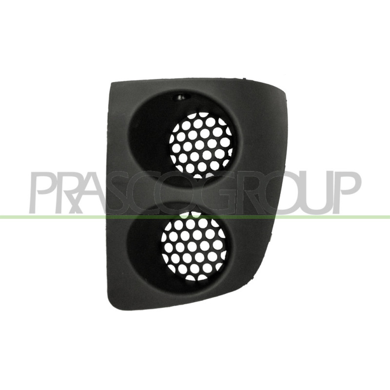 Grille de pare-chocs avant noir côté chauffeur