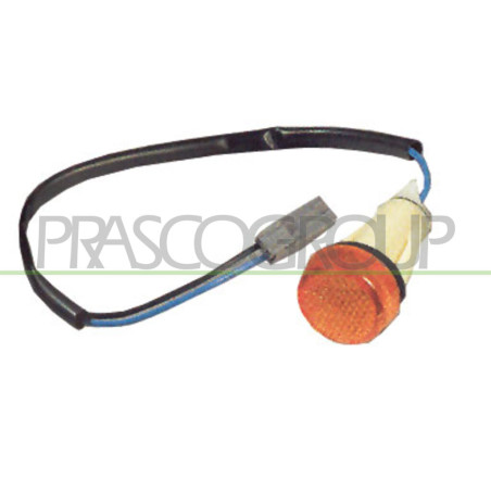 Feu d'aile avant valable côté chauffeur et côté passager