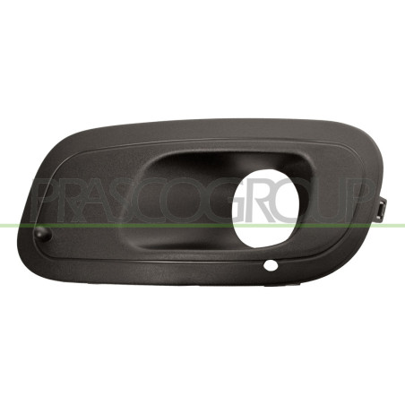 Grille noire de pare-chocs avant côté chauffeur