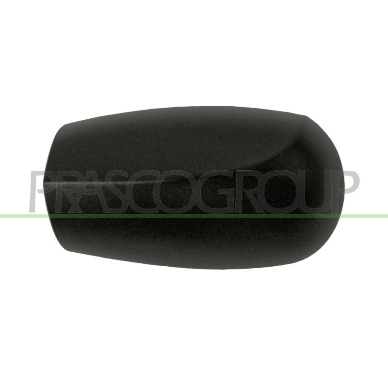 Coque de rétroviseur noir côté chauffeur