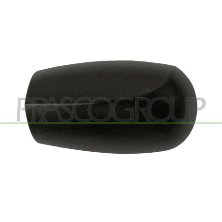 Coque de rétroviseur noir côté chauffeur
