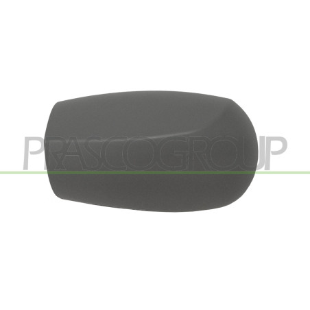 Coque de rétroviseur à peindre avec apprêt côté chauffeur