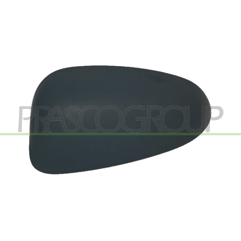 Coque de rétroviseur noir côté chauffeur