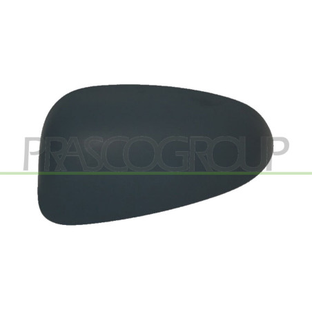 Coque de rétroviseur noir côté chauffeur