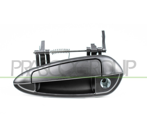 Poignée extérieure de porte avant côté chauffeur à peindre avec apprêt