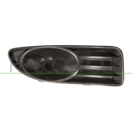 Grille de pare-chocs avant noir côté passager