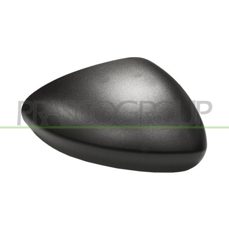 Coque de rétroviseur noir côté passager