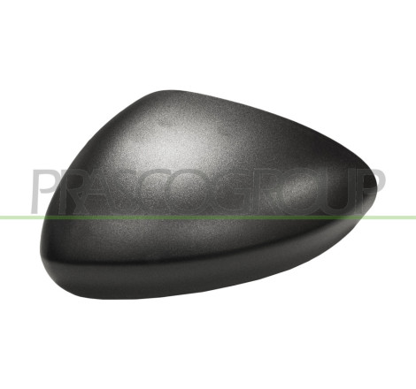 Coque de rétroviseur noir côté chauffeur