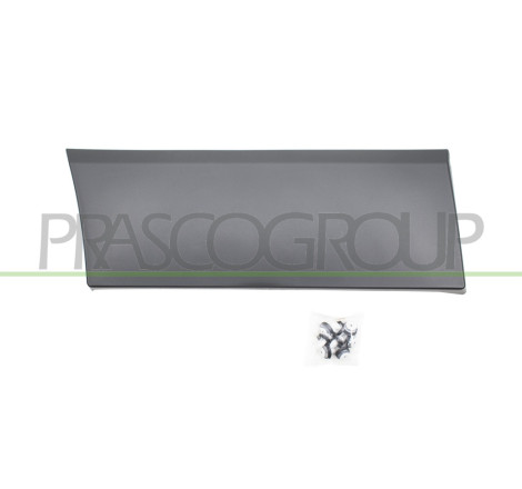 MOULURE LATERALE INFERIEURE-AVEC CLIPS-NOIR-STRUCTUREE-AILE ARRIERE DROITE