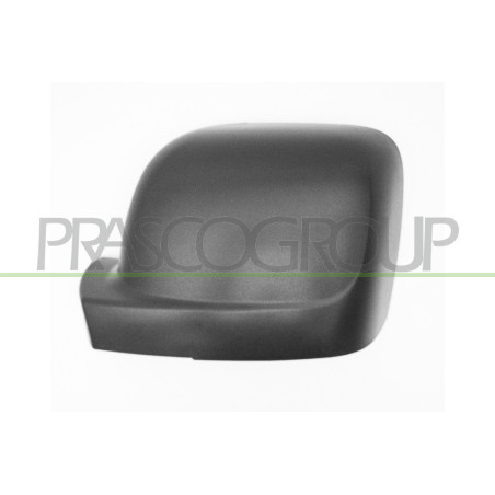 Coque de rétroviseur noir côté chauffeur