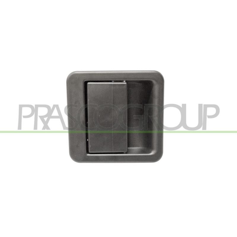 Poignée extérieure noir d'ouverture de hayon