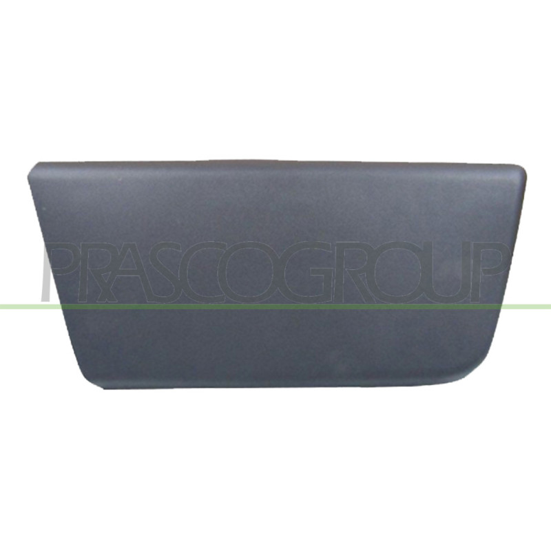 Baguette de porte avant côté passager