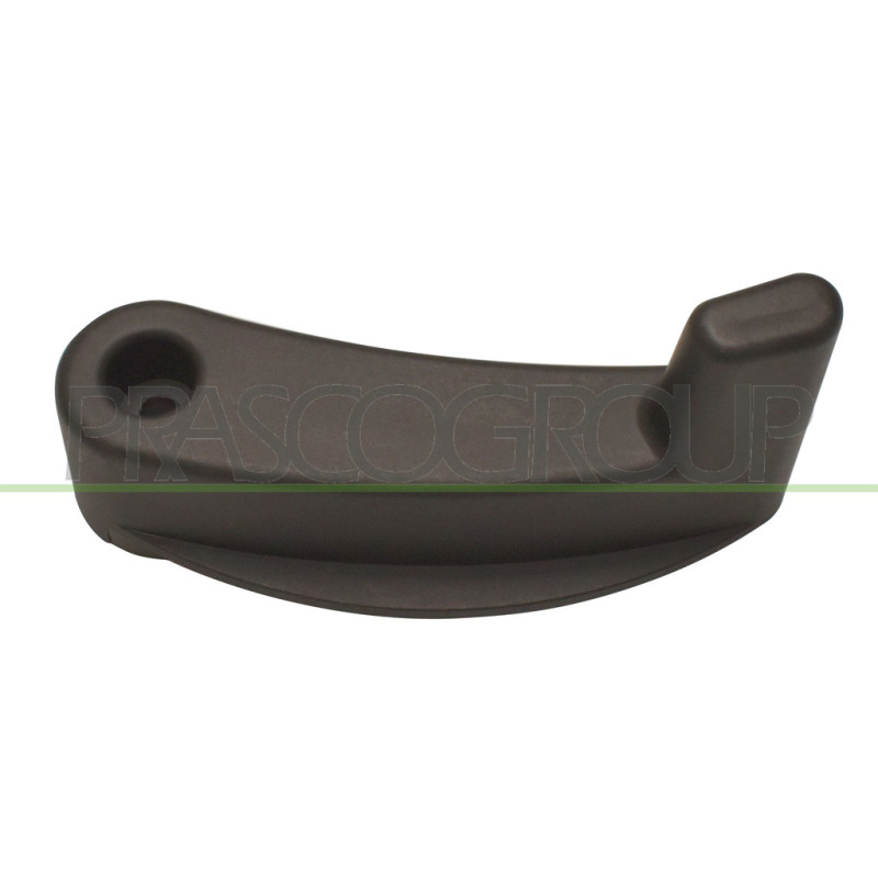 Levier de porte arrière noir