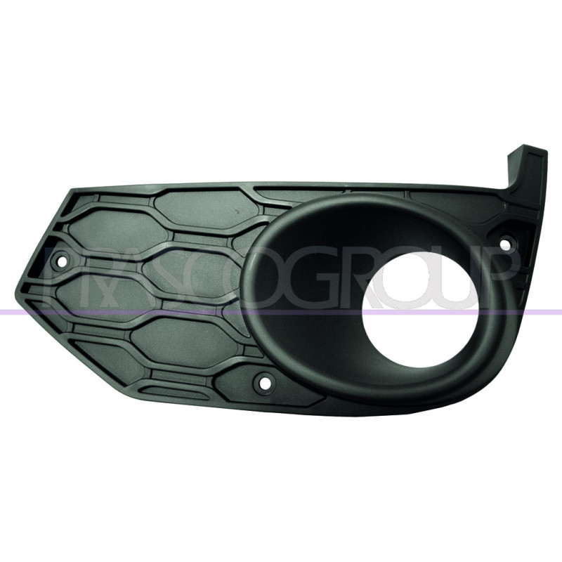 Grille noire de pare-chocs avant côté chauffeur