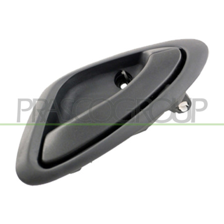 Poignée intérieure grise