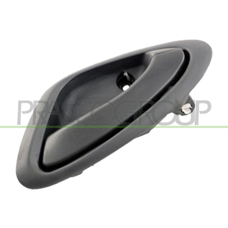 Poignée intérieure grise