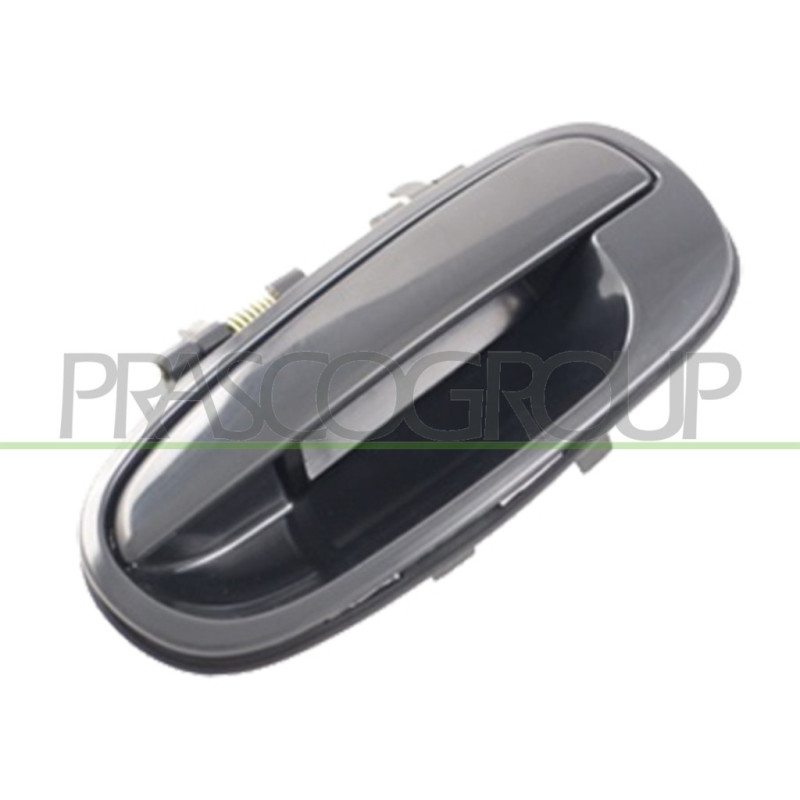 Poignée extérieure noir