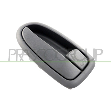 Poignée intérieure grise