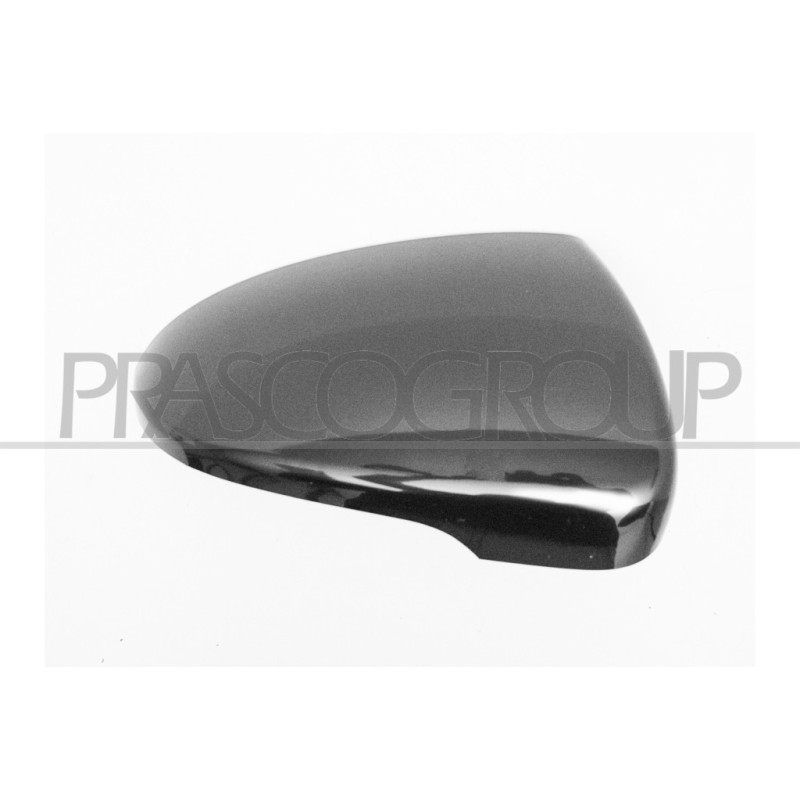 Coque de rétroviseur noir côté passager