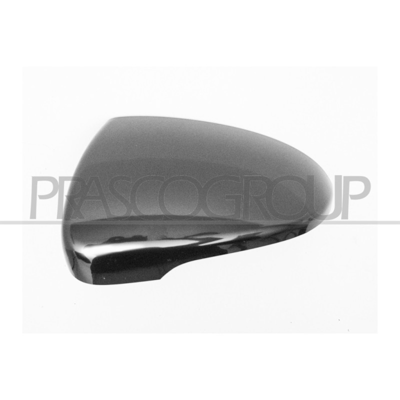 Coque de rétroviseur noir côté chauffeur