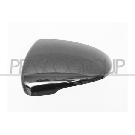 Coque de rétroviseur noir côté chauffeur