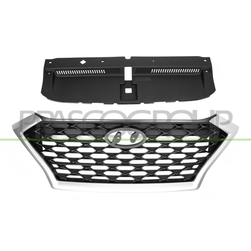 Grille de calandre noir avec chrome