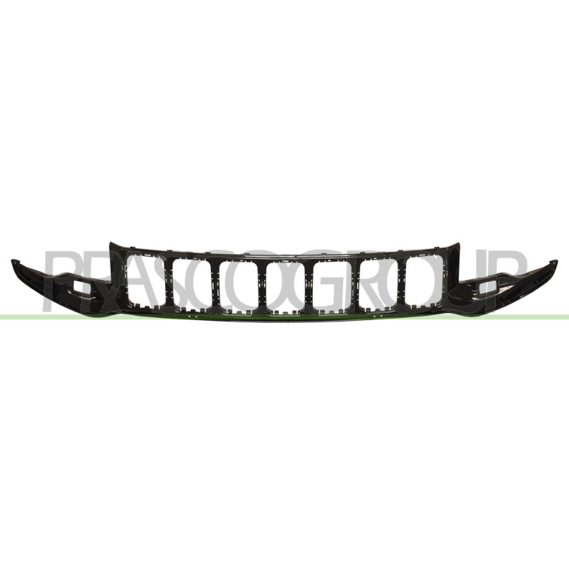 Grille de calandre noir