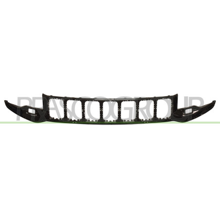 Grille de calandre noir