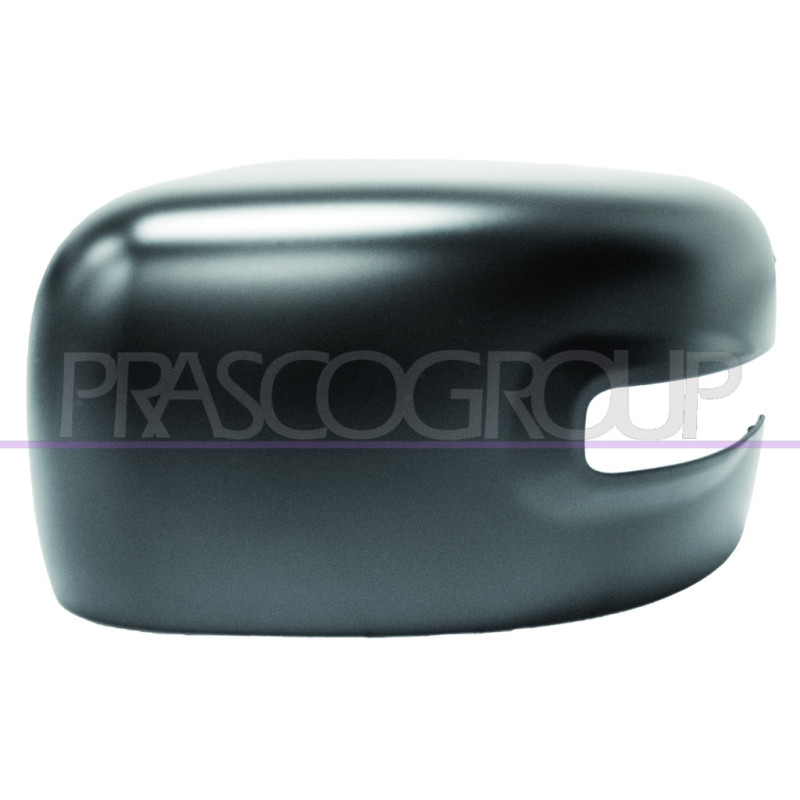 Coque de rétroviseur noir côté chauffeur