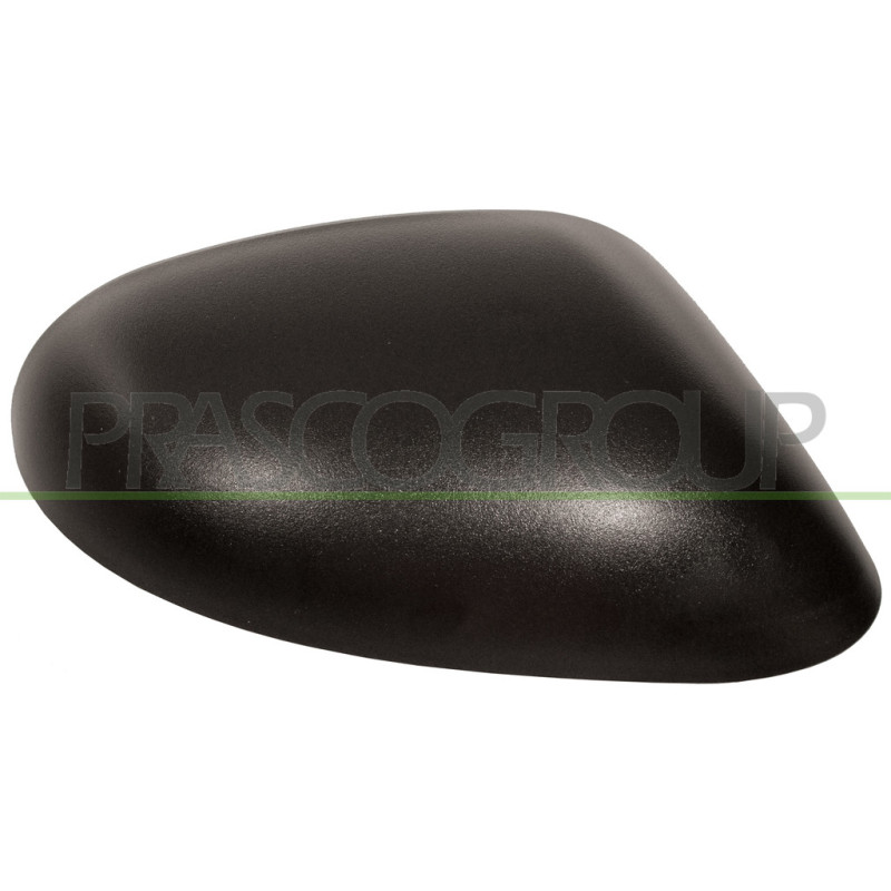 Coque de rétroviseur noir côté passager