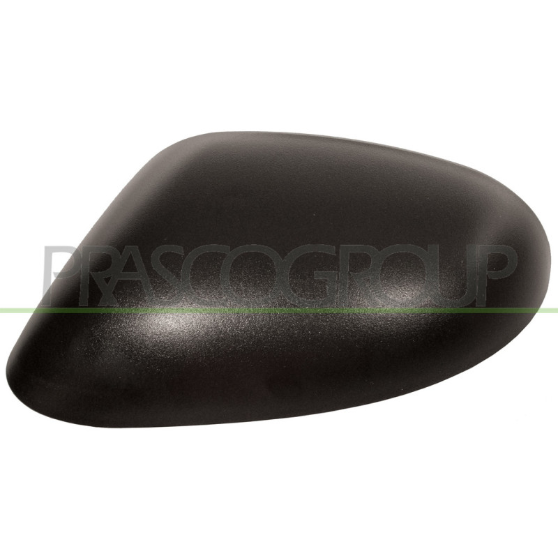Coque de rétroviseur noir côté chauffeur