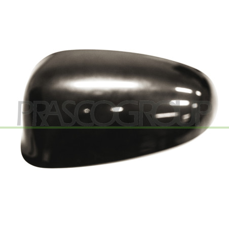 Coque de rétroviseur noir côté chauffeur
