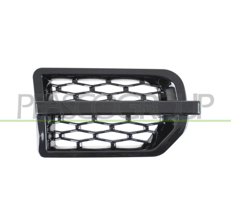 Grille argent d'aile avant côté passager